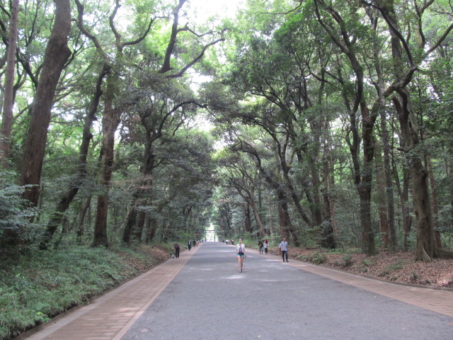 MeijiShrine9