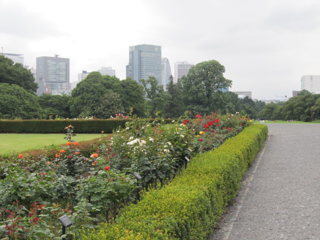 ShinjukuGyoengarden11