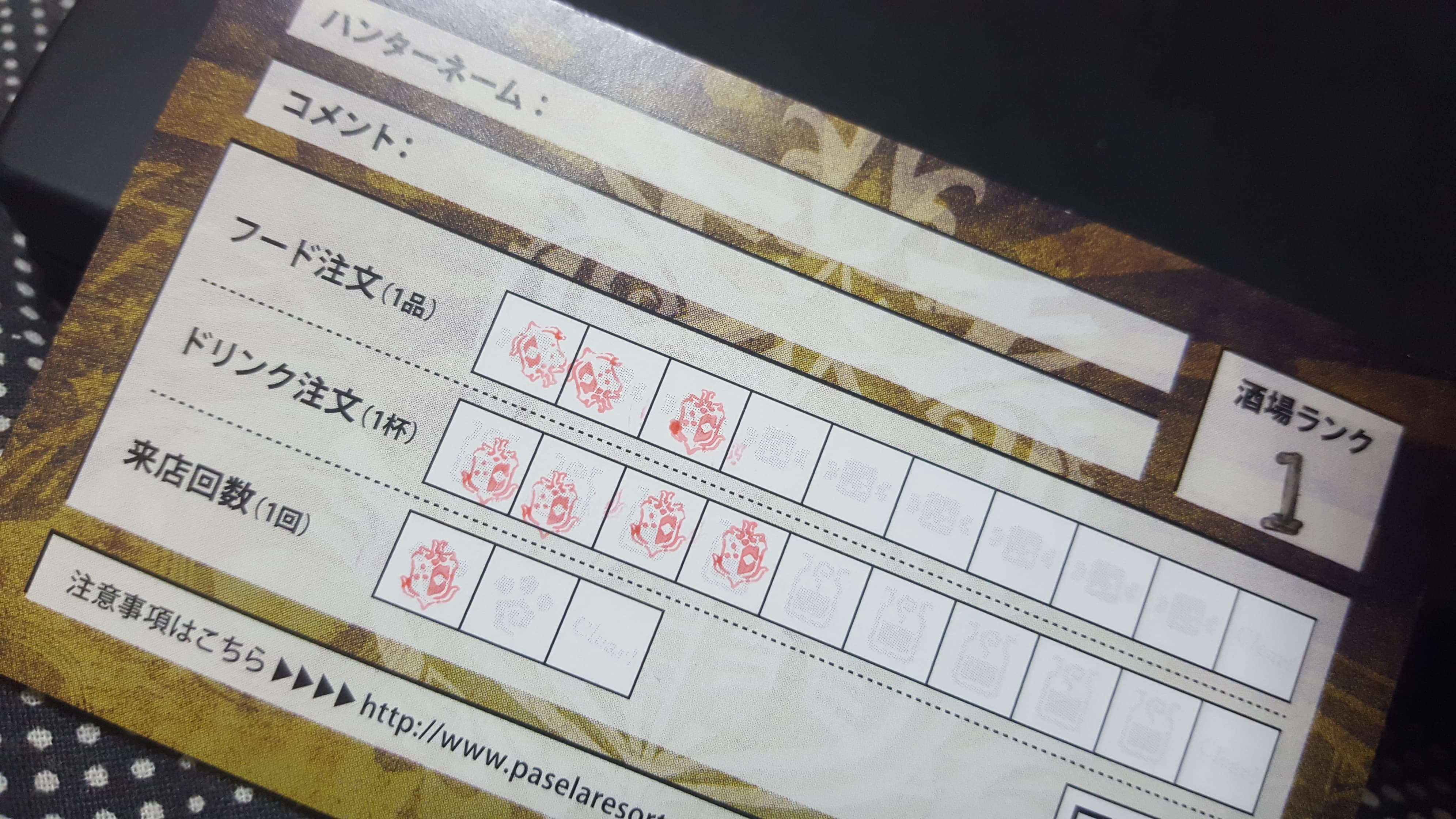 We got stamps on our Guild Cards!