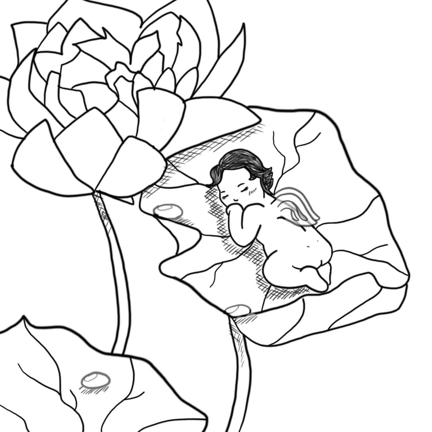 2. Tranquil Baby faerie is brand new and resting among the lotus flowers.